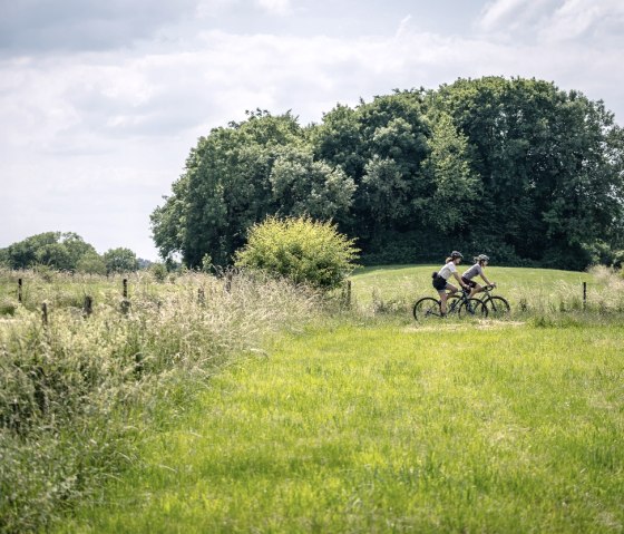 Wiesenlandschaft bei Hahn-Vennwegen, © StädteRegion Aachen