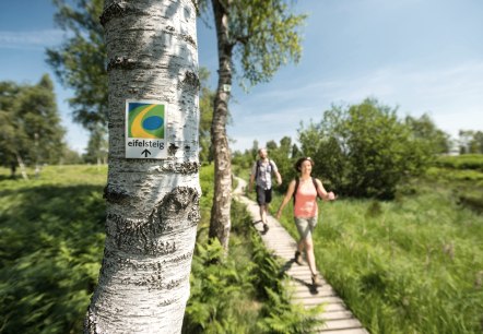 Eifelsteig - Struffelt, © Eifel Tourismus GmbH