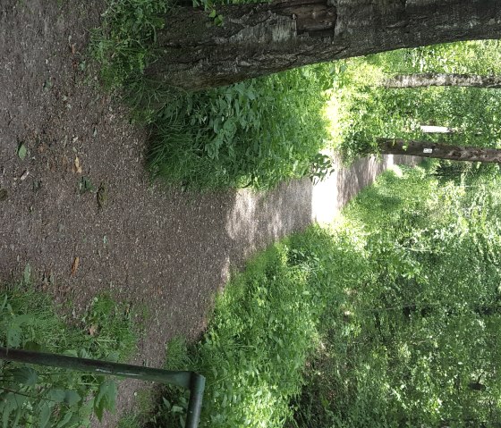 schleebach-direction-wildpark1, © (c) Gemeinde Roetgen