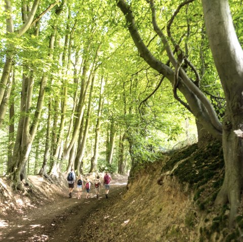 Wanderweg Wurmtal, © StädteRegion Aachen