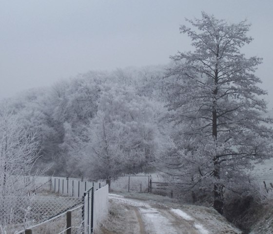 Finkelbachtal im Rahhreif, © Klaus Fehr