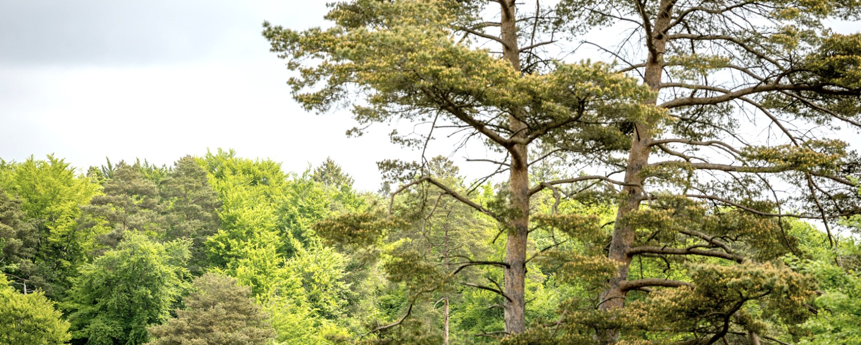 Naturschutzgebiet Schlangenberg, © Städteregion Aachen