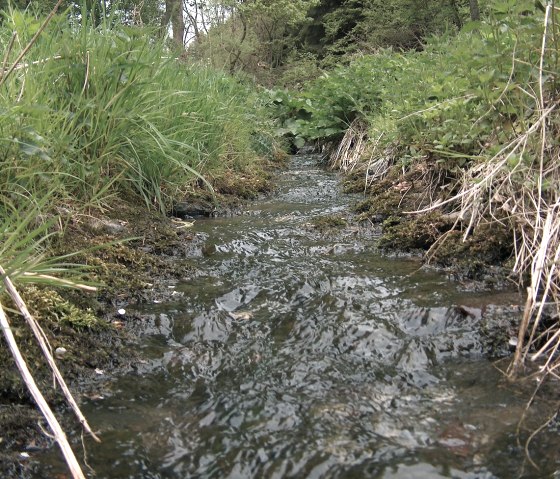 Lauf des Tiefenbachs, © StädteRegion Aachen