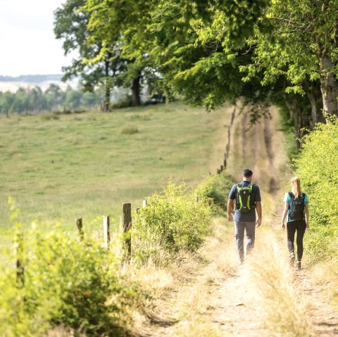 Wandern auf dem Rursee-Höhenweg, © Eifel Tourismus GmbH