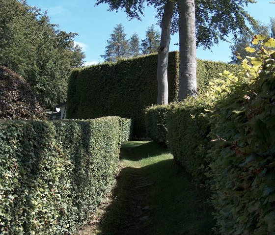 „Heckel´s Pad“, © Bernd Läufer