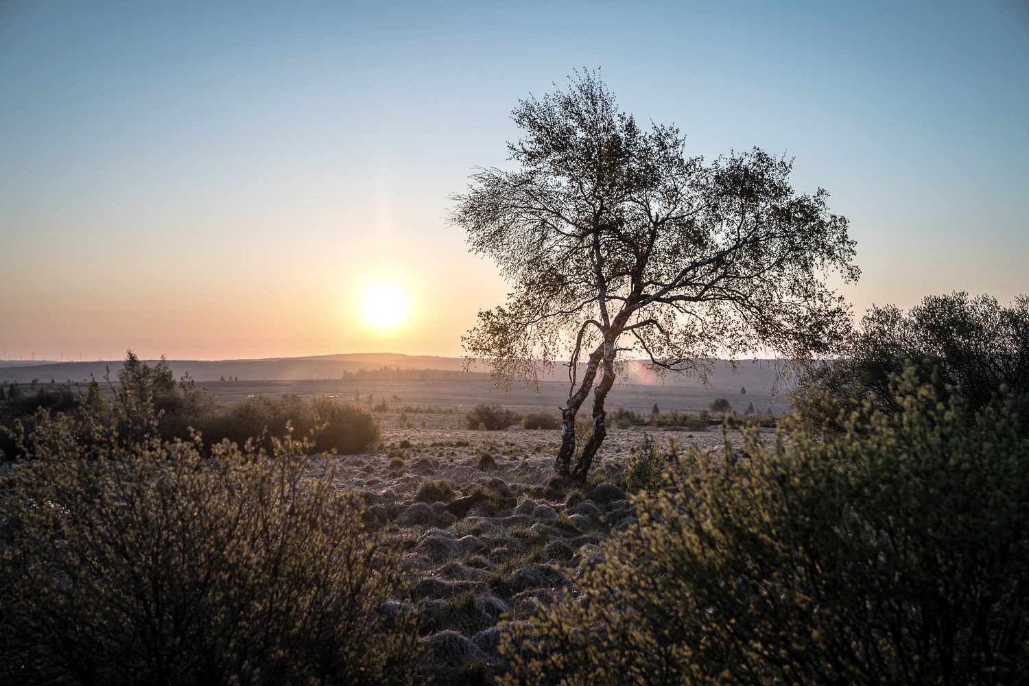 Hohes Venn - Abendstimmung, © Dennis Stratmann