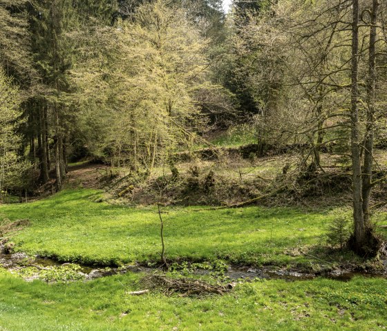 Belgenbachtal, © Grünmetropole