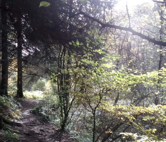 Belgenbachtal bei Imgenbroich, © StädteRegion Aachen