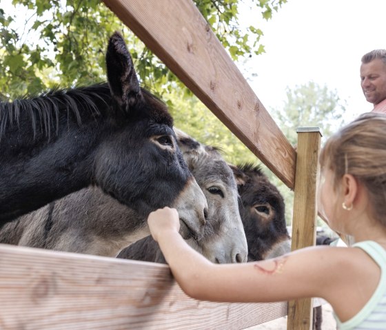 Alsdorfer Tierpark, © Eifel Tourismus GmbH