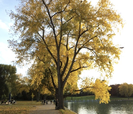 Aachener Weiher, © LVR-Amt für Bodendenkmalpflege im Rheinland