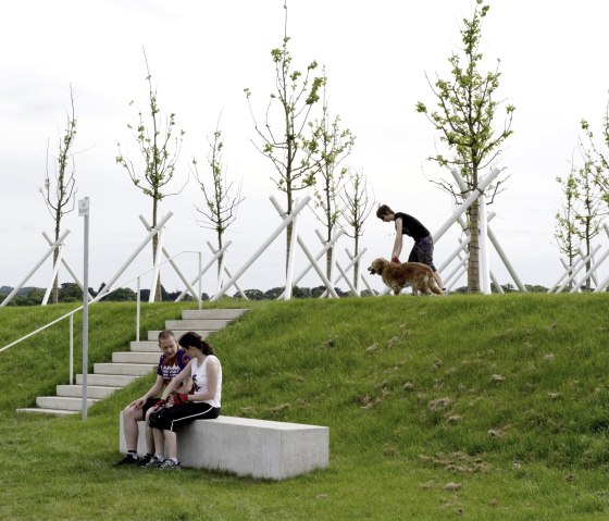 Mulberry hill, © Anja Schlamann