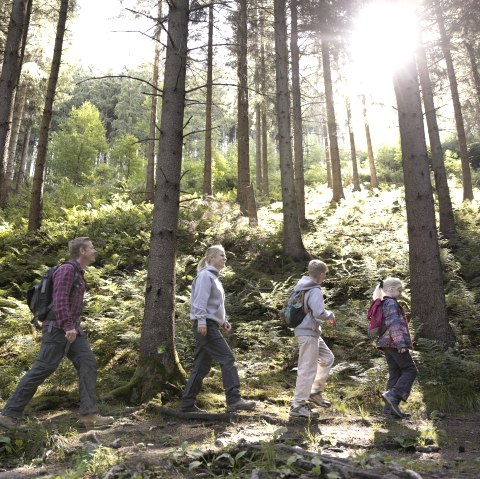 Familie Wandern, © Eifel Tourismus GmbH; Foto: Tobias Vollmer