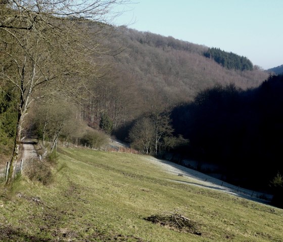 Holderbachtal, © Bernd Läufer