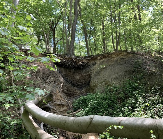 Steinbruch Kohleflöz, © StädteRegion Aachen