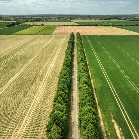 Neu-Lohn Eschweiler, © Dominik Ketz