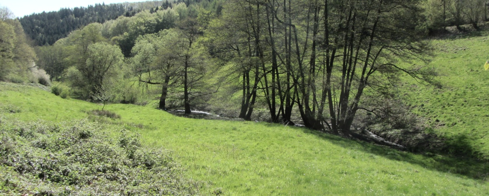Eifel floodplain, © StädteRegion Aachen