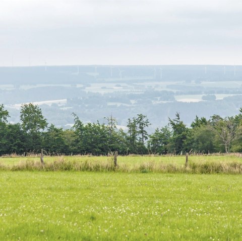Aussicht vom Eifel-Blick Steling, © Eifel Tourismus GmbH, AR-shapefruit AG
