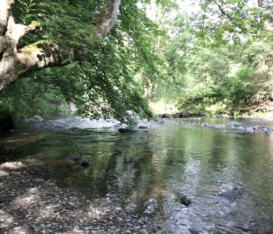 Tiefenbachtal, © Rursee-Touristik