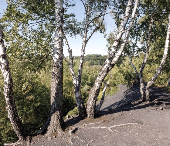 Slag heap landscape near Würselen, © Eifel Tourismus GmbH