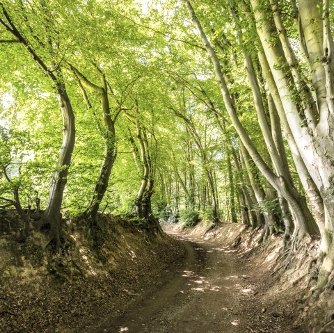 Wurmtal bei Würselen, © StädteRegion Aachen