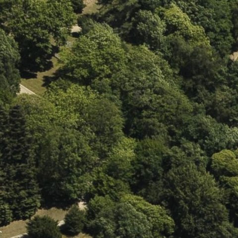 Aachener Wald, © StädteRegion Aachen