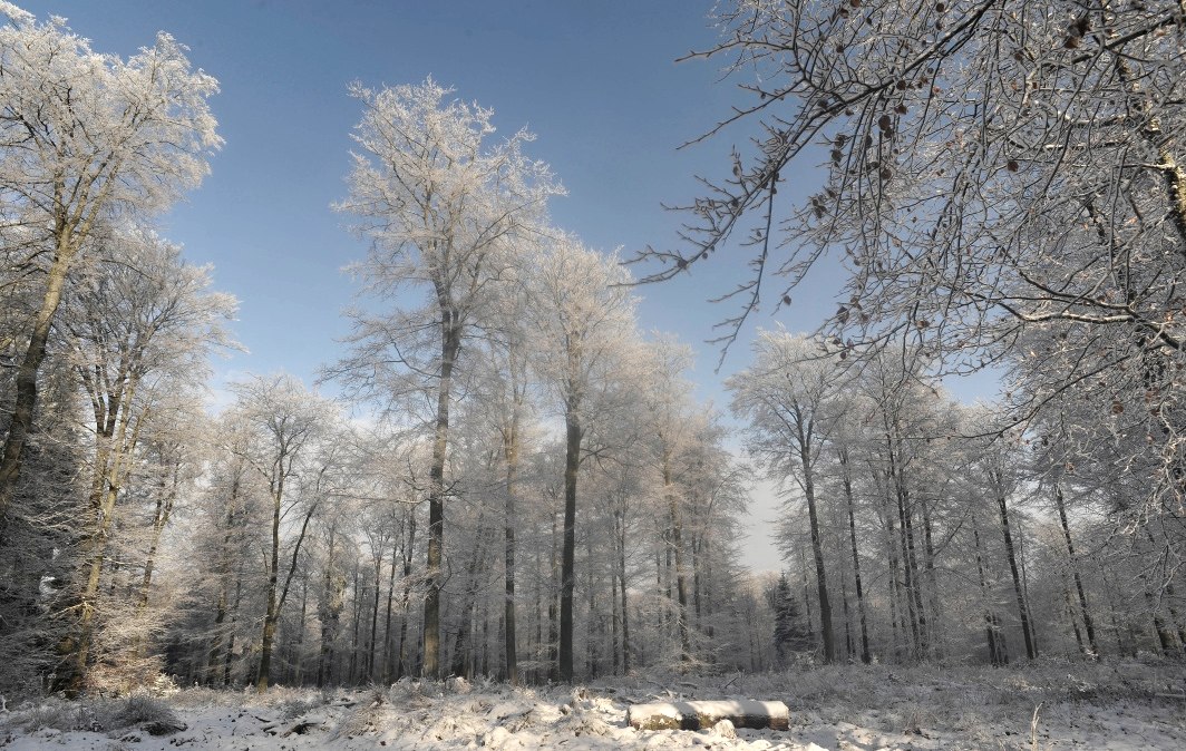 Weißer Zauber, © Tourismusagentur Ostbelgien