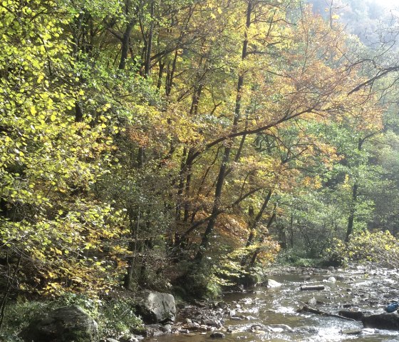 Tal der Warche, © StädteRegion Aachen