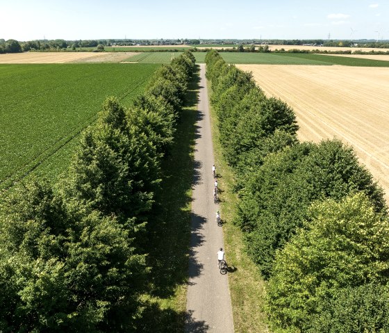 Allee an der Gedächtniskapelle, © StädteRegion Aachen