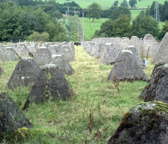 Höckerlinie aus dem zweiten Weltkrieg, © StädteRegion Aachen