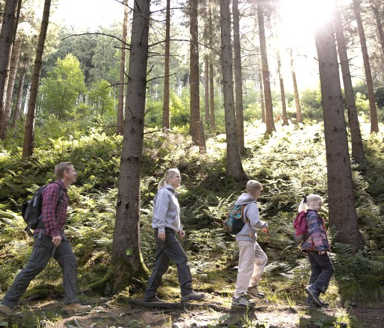 Unterwegs auf dem Wildnistrail, © Eifel Tourismus GmbH, Tobias Vollmer