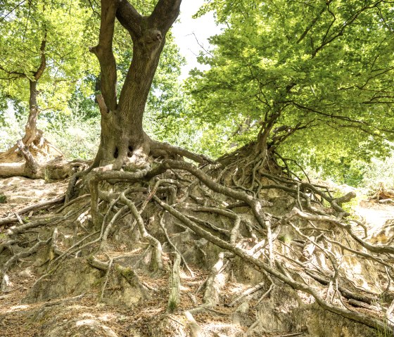 Broichbachtal Alsdorf, © StädteRegion Aachen