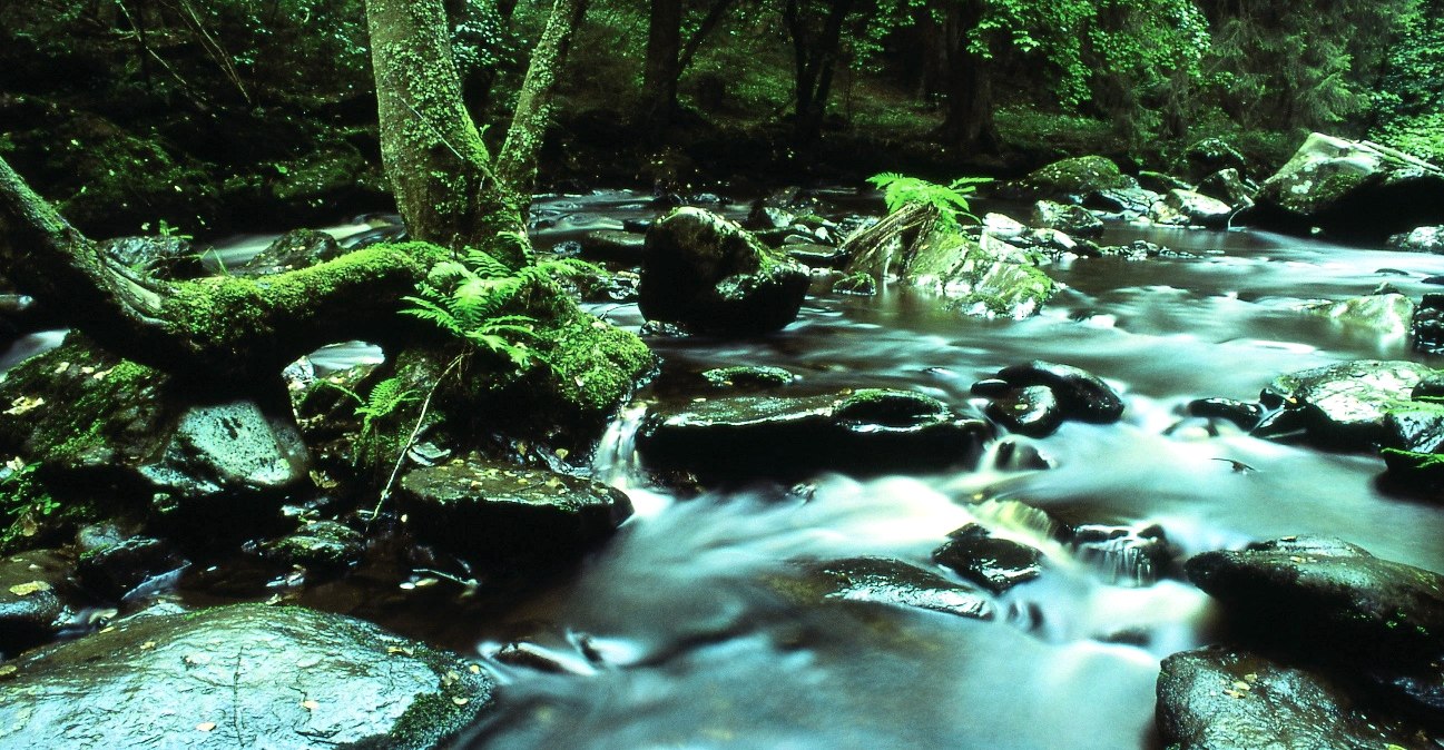 Rurtal, © Archiv Eifel Tourismus GmbH - Hans-Jürgen Sittig