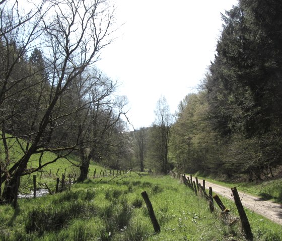 Path along the Tiefenbach stream, © Community