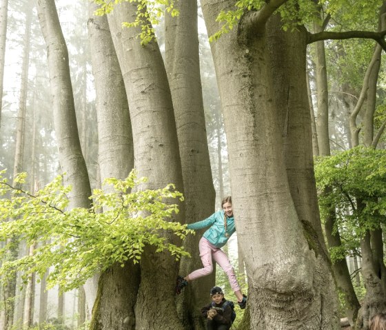 Aachener Wald, © StädteRegion Aachen