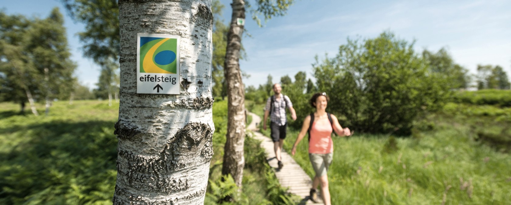 Eifelsteig - Struffelt, © Eifel Tourismus GmbH