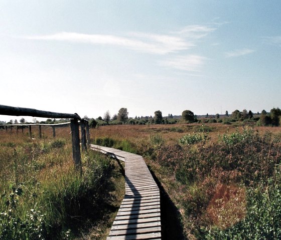 Naturpark Hohes Venn