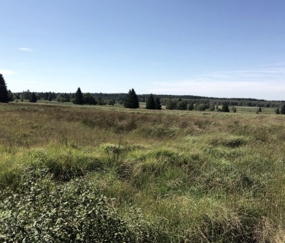 High Fens, © Community