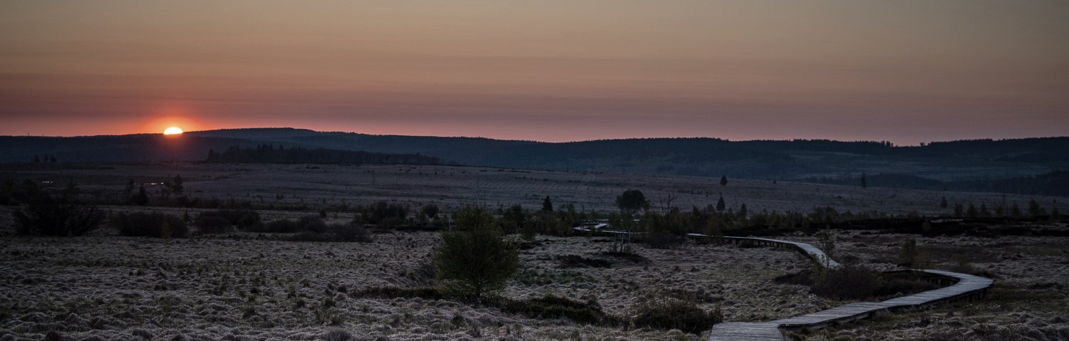 Hohes Venn-Abendstimmung, © Dennis Stratmann