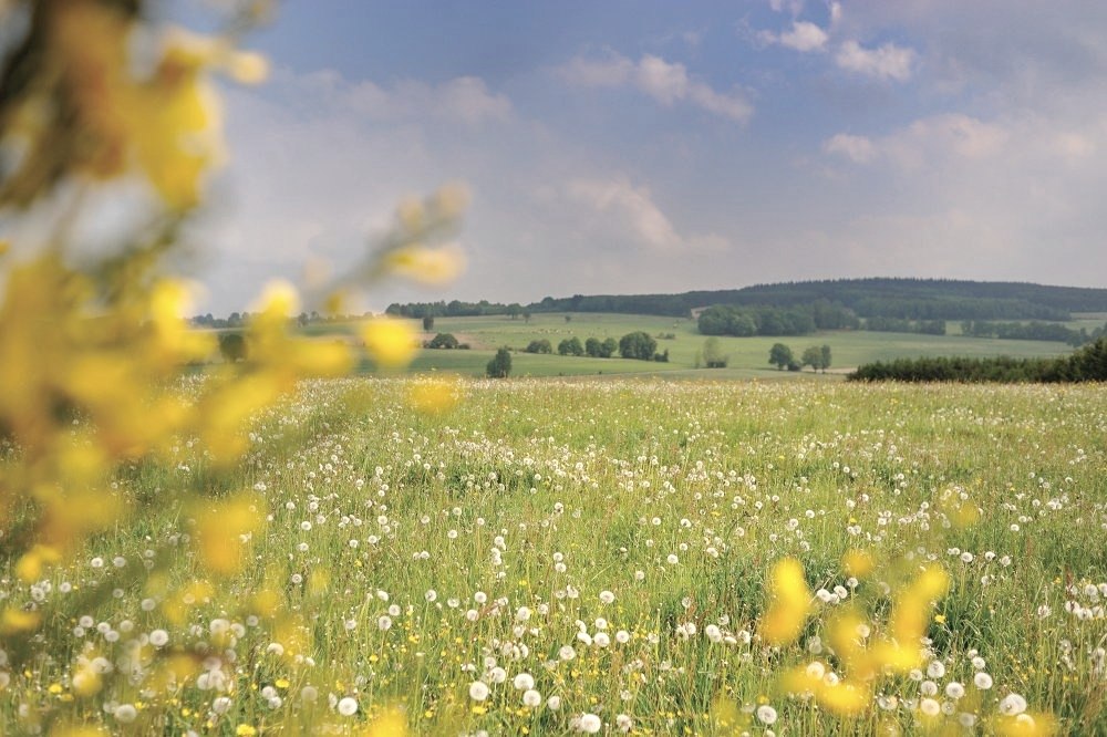 Weite Aussichten, © Unbekannt