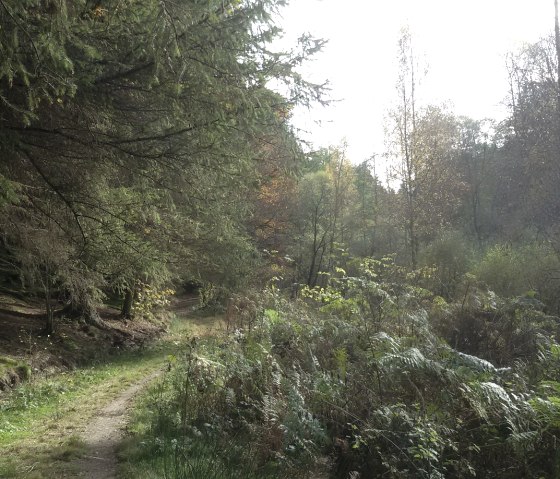 Belgenbachtal bei Imgenbroich, © StädteRegion Aachen