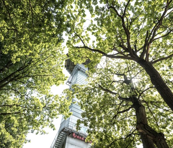 Balduin-Turm, © Grünmetropole e.V.