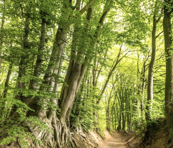 Hohlweg im Wurmtal, © StädteRegion Aachen