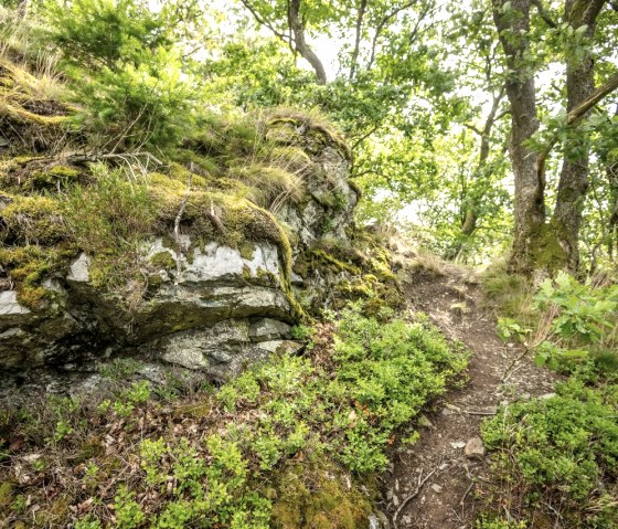 Eifelsteig - Weg zur Uhusley, © StädteRegion Aachen