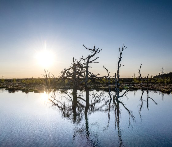 Hohes Venn - Abendstimmung, © Dennis Stratmann