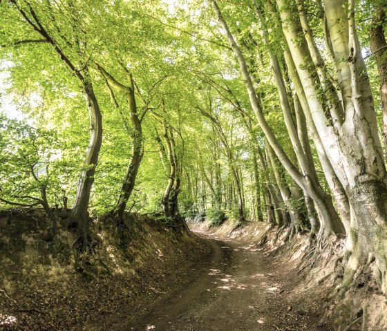 Radweg im Wurmtal, © StädteRegion Aachen