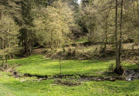 Belgenbachtal, © Grünmetropole