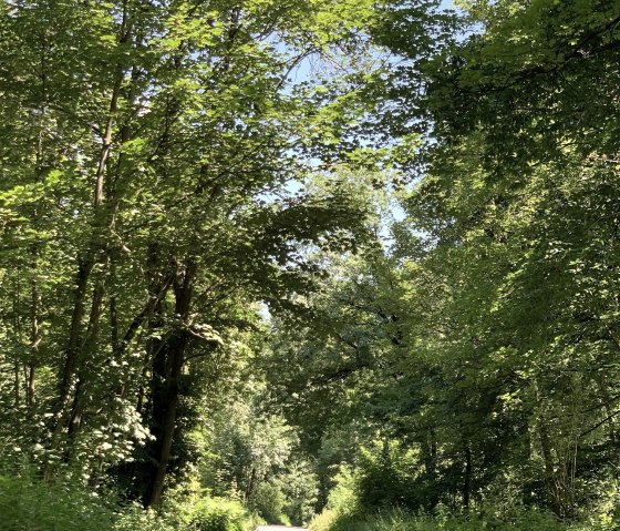 Blausteintour, © StädteRegion Aachen