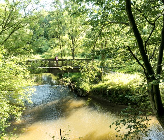 Wurmtal bei Herzogenrath, © Fotograf: Dominik Ketz