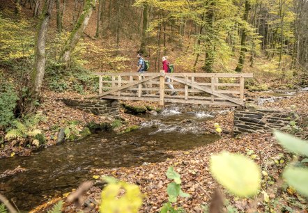 Schrauffweg Püngelbach, © Eifel Tourismus GmbH