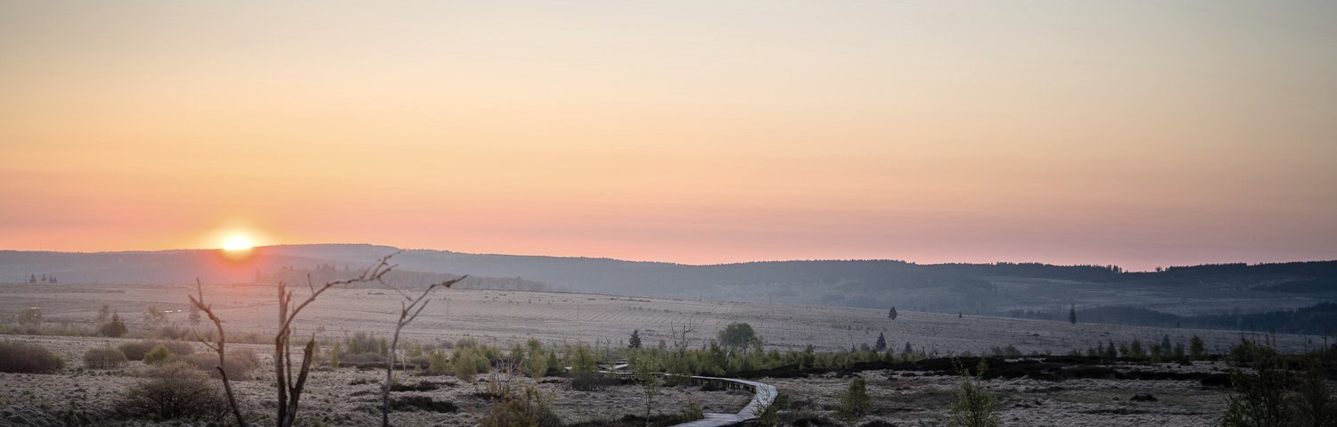 Hohes Venn - Abendstimmung, © Dennis Stratmann